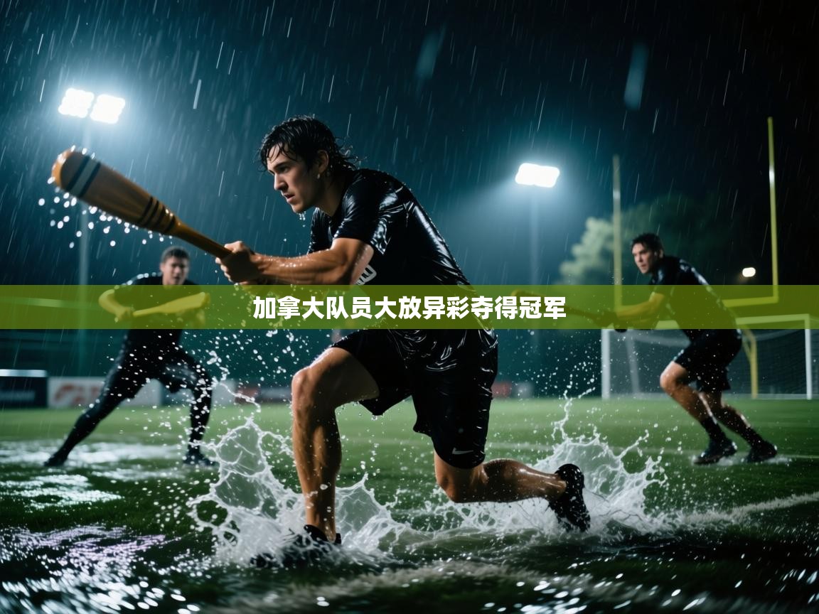 开云APP-加拿大队员大放异彩夺得冠军