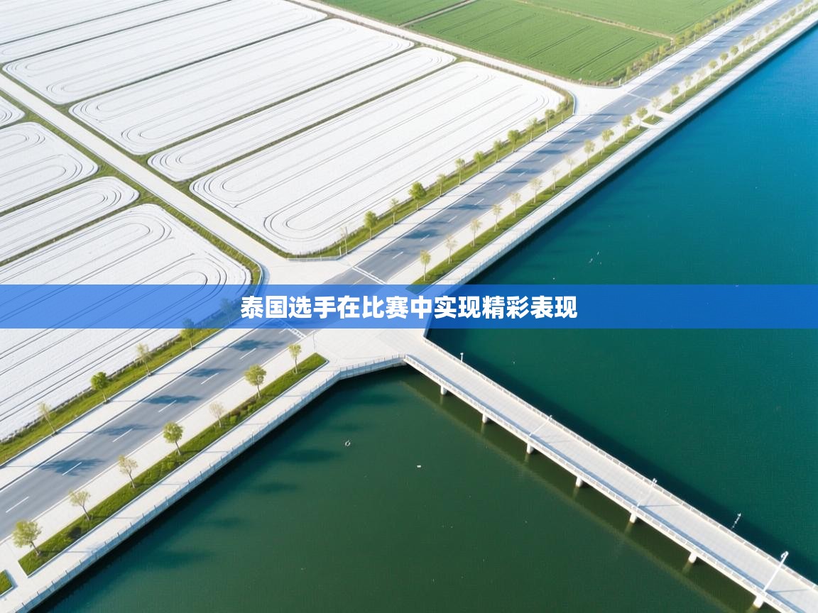 开云体育app官网入口网页版-泰国选手在比赛中实现精彩表现  第3张