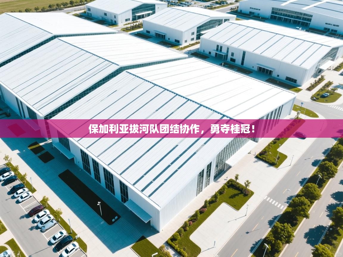 开云数据-保加利亚拔河队团结协作，勇夺桂冠！